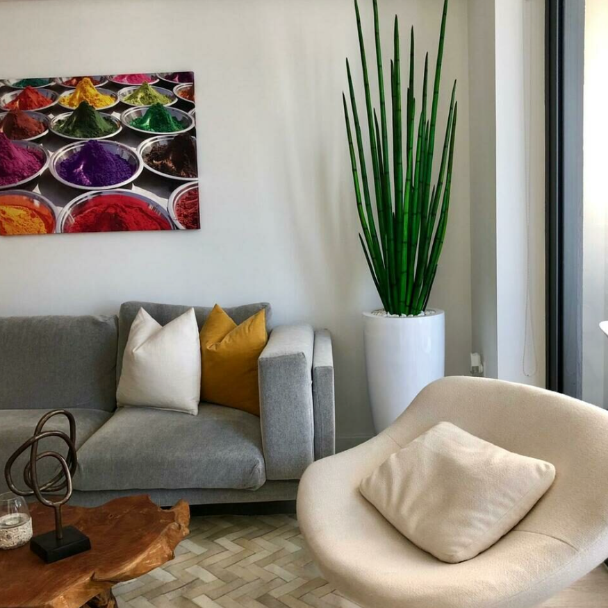 Snake Grass with Dax L Planter in Glossy White