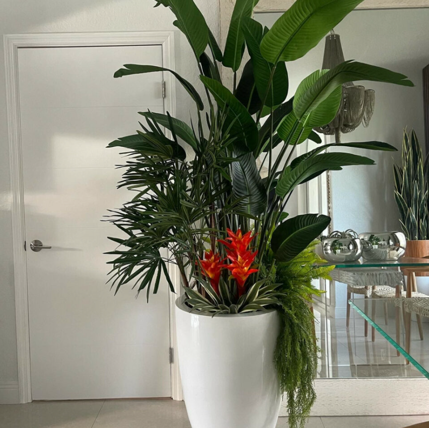 Tropical Mix Plants in Glossy White Brannan Planter