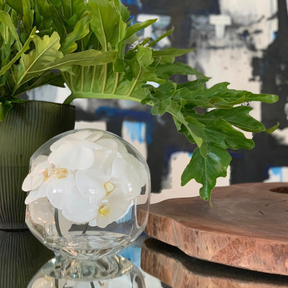 Crosswinds Glass Vase with White Orchids