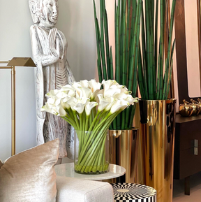 Calla Lilies in 25 cm Glass Cylinder