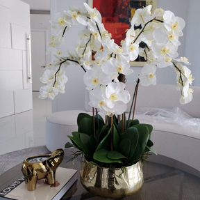 Phalaenopsis Orchids Floral Arrangement in Gold Planter