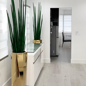 Prism Octagon Planter with Snake Grass