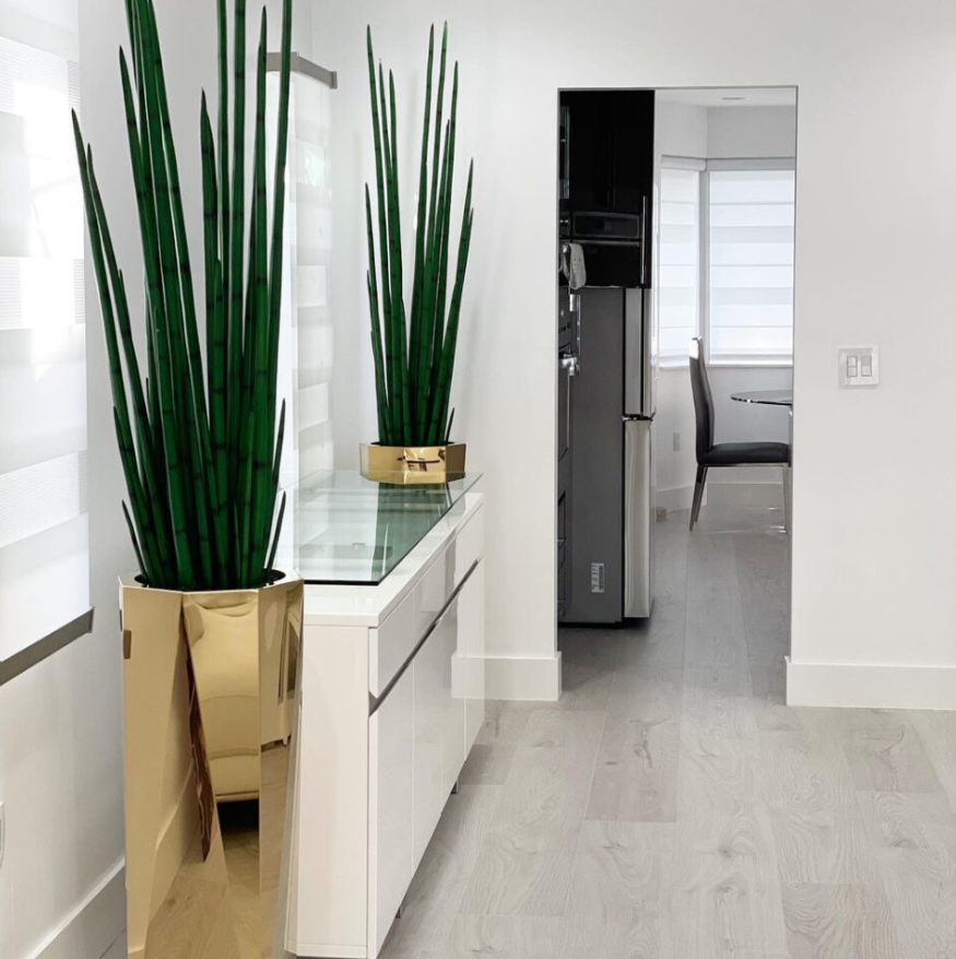 Prism Octagon Planter with Snake Grass