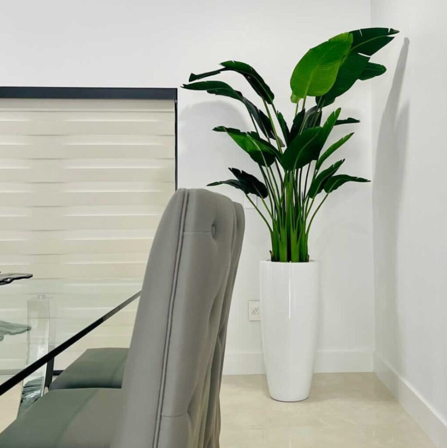 Bird of Paradise with Dax L Planter