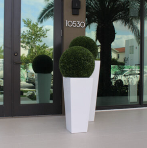 Topiary with Medium Beau Fiberglass Vase