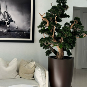 Oversized Bonsai in Matte Brown Brannan Planter