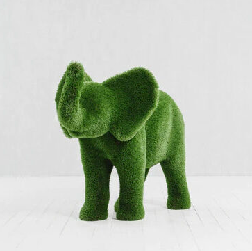 Small Elephant