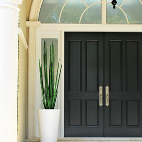 Artificial Cobra Grass (160 cm) with Belle M Pot